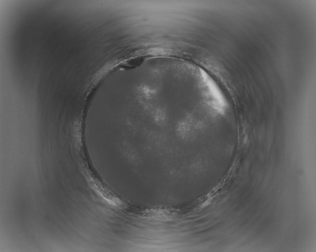 X0000074000297200609181815