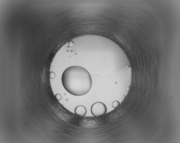 X0000074000311200609181815