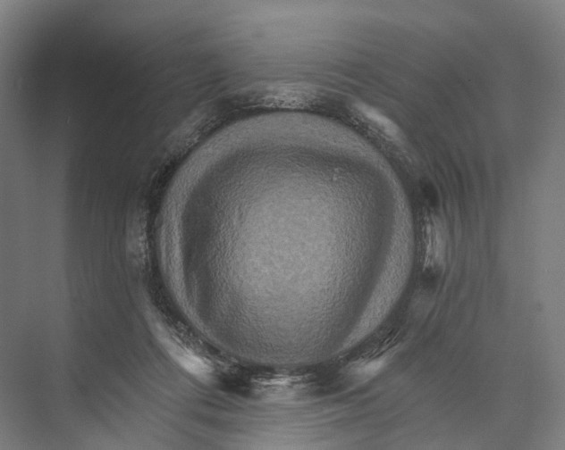 X0000074000312200609181815