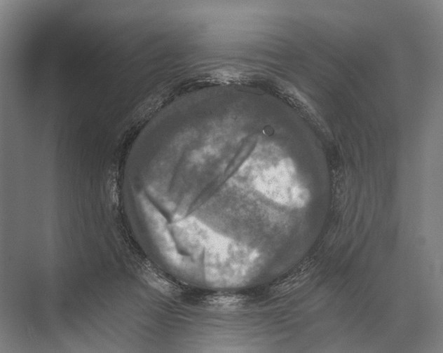 X0000074000313200609181815