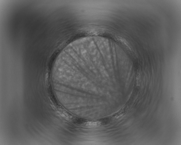 X0000074000314200609181815