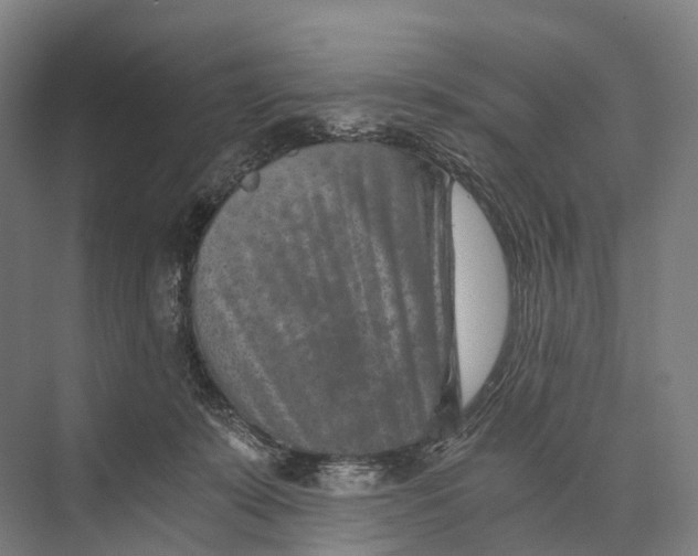 X0000074000319200609181815