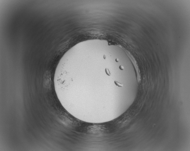 X0000074000320200609181815