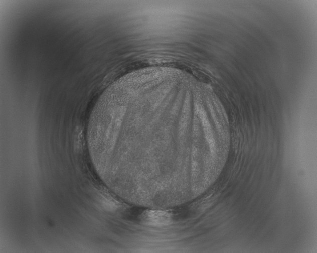 X0000074000327200609181815