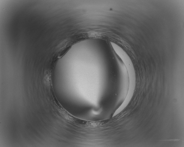 X0000074000329200609181815