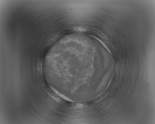 X0000074000330200609181815