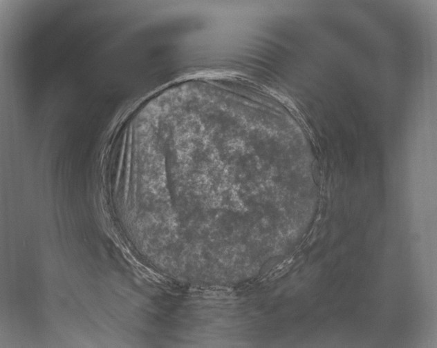 X0000074000337200609181814