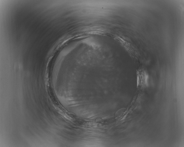 X0000074000339200609181814