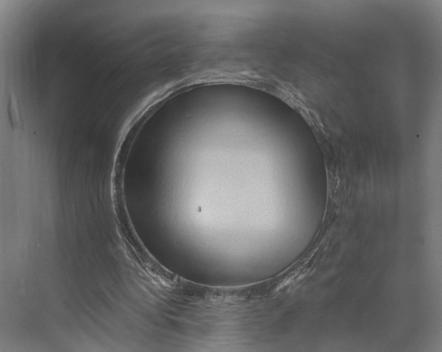 X0000074000340200609181814