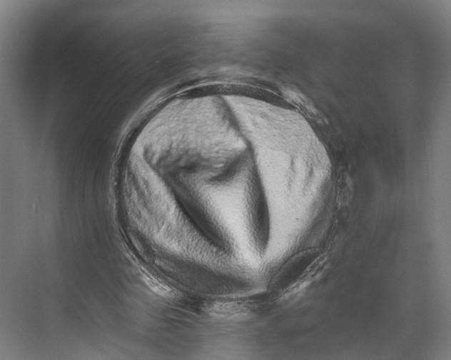 X0000074000341200609181814