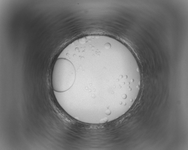 X0000074000345200609181814