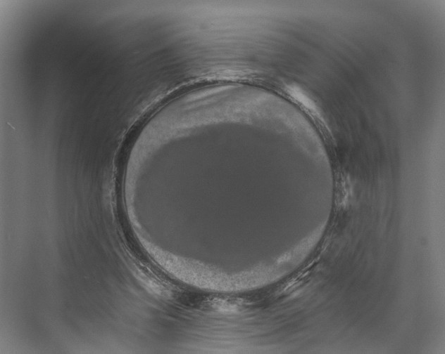 X0000074000346200609181814