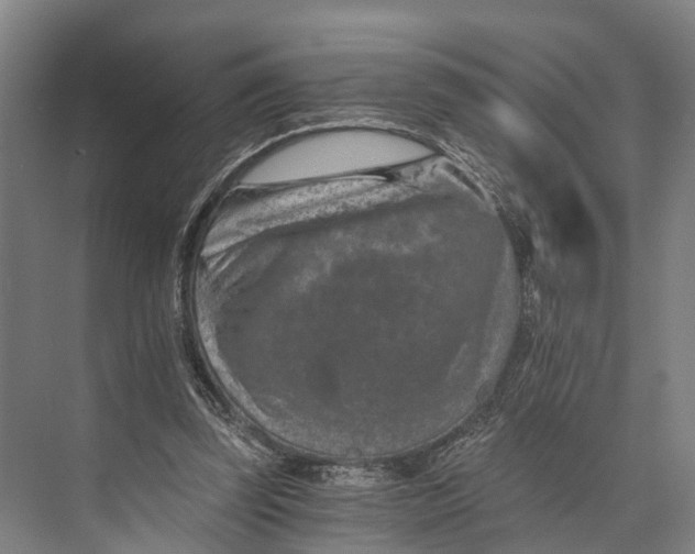 X0000074000347200609181814