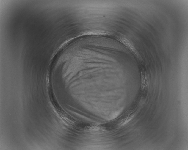 X0000074000348200609181814