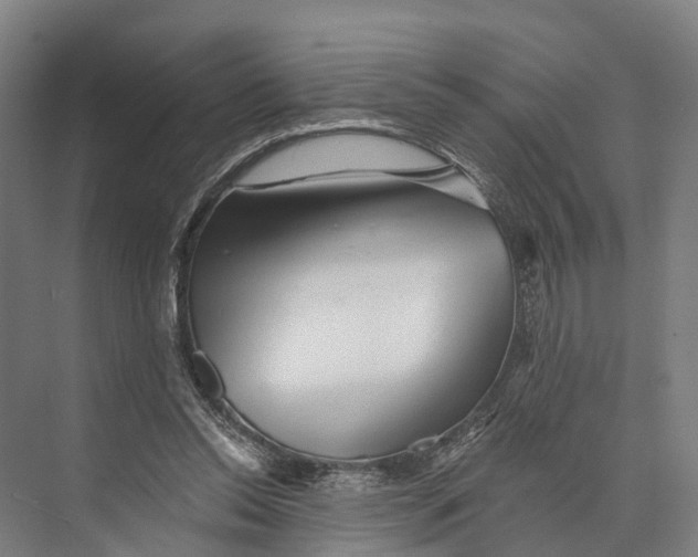 X0000074000350200609181814