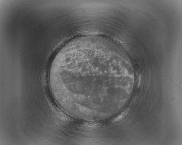 X0000074000351200609181814