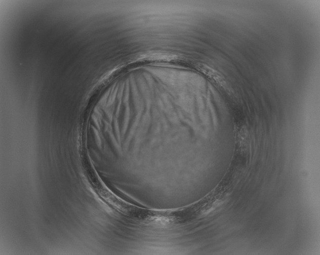 X0000074000352200609181814