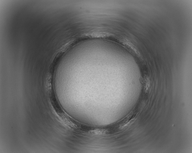 X0000074000356200609181814