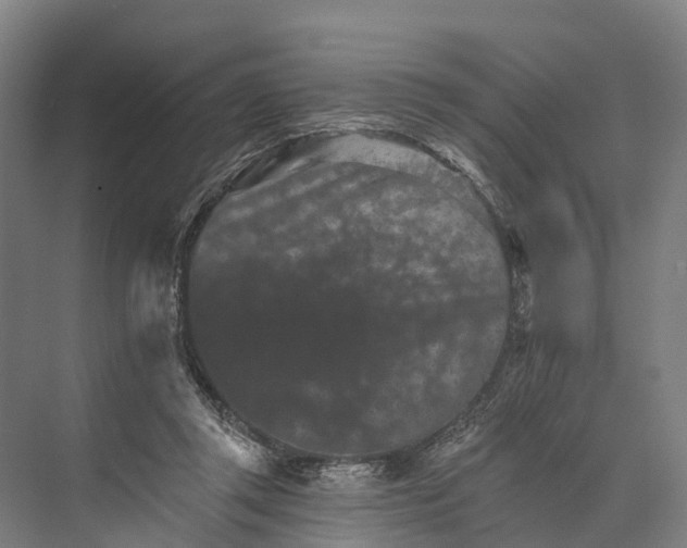 X0000074000357200609181814