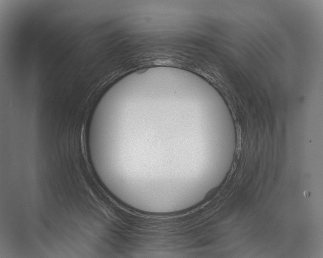 X0000074000360200609181814