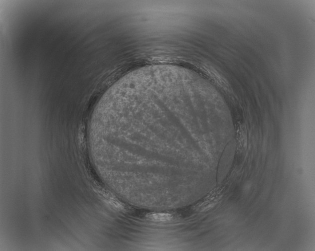 X0000074000361200609181814