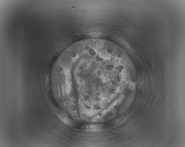 X0000074000365200609181814