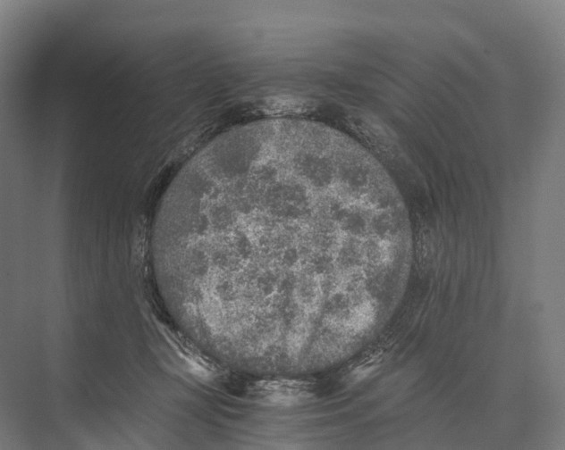 X0000074000367200609181814