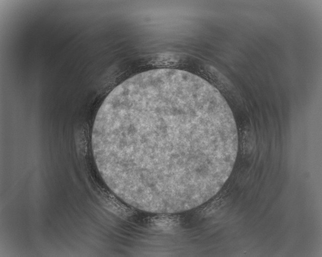 X0000074000370200609181814