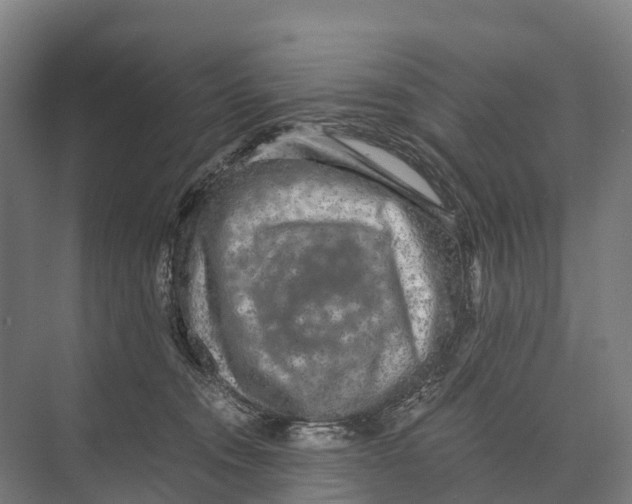 X0000074000372200609181814