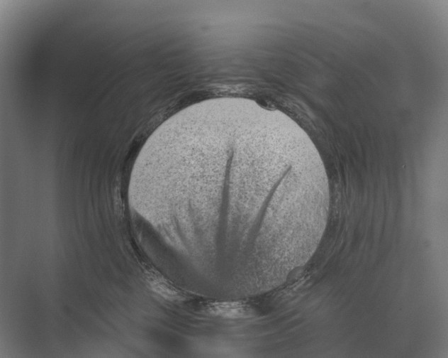 X0000074000377200609181814