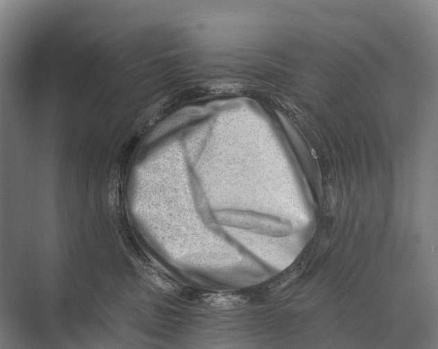 X0000074000379200609181814