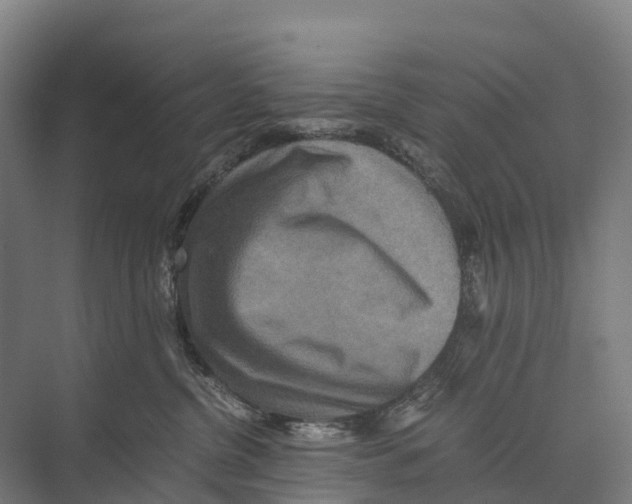 X0000074000380200609181814