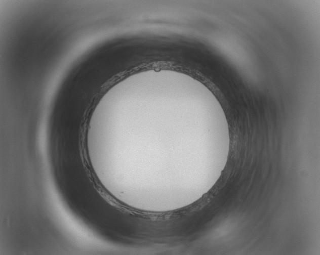 X0000074000383200609181815