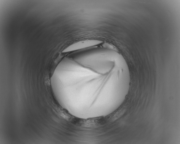 X0000074000384200609181815