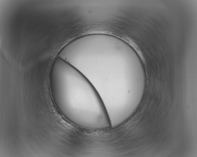 X0000074000385200609181814