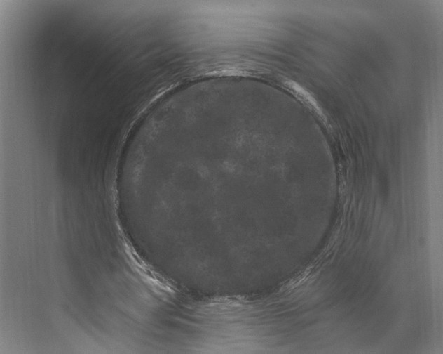 X0000074000386200609181814