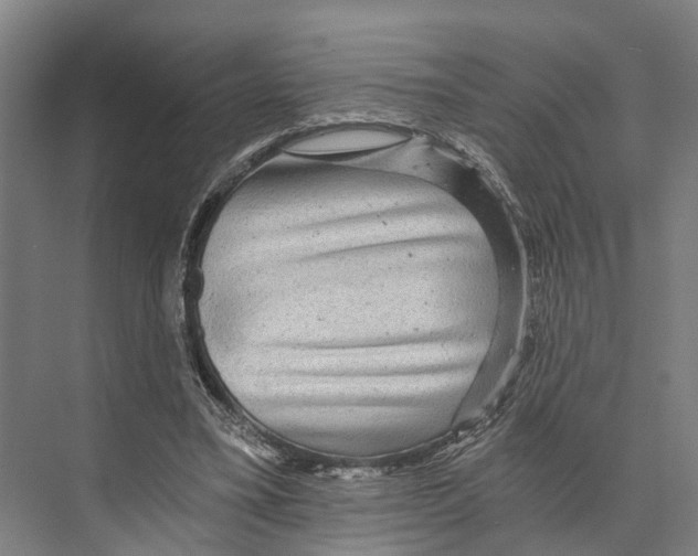 X0000074000395200609181814