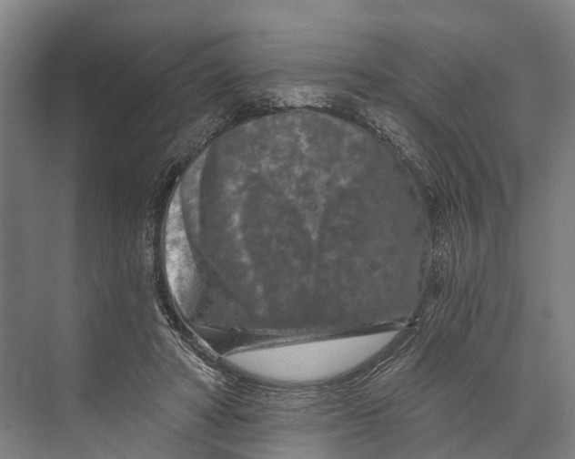 X0000074000402200609181813