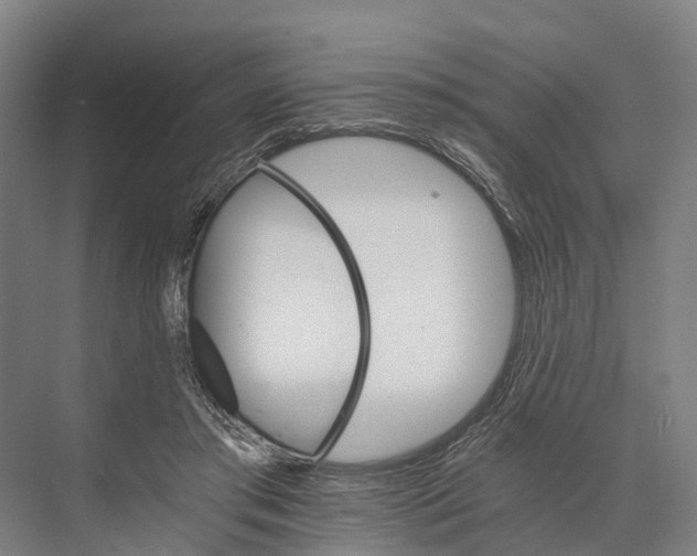 X0000074000405200609181813