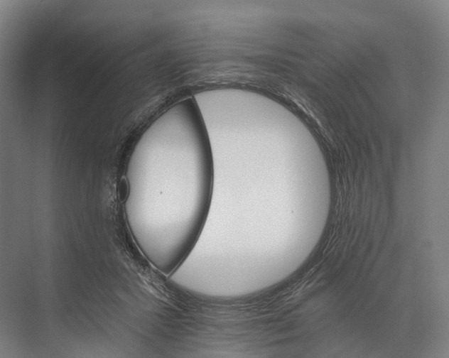 X0000074000407200609181813