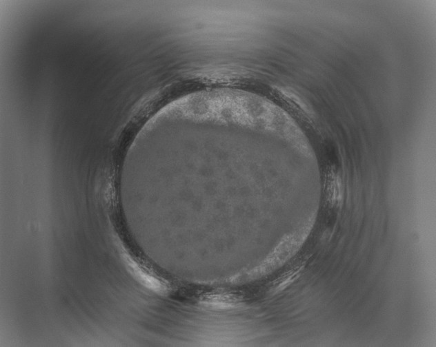 X0000074000408200609181813