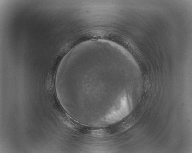 X0000074000411200609181813