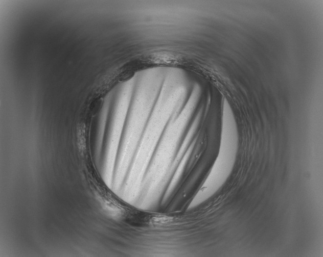 X0000074000413200609181813