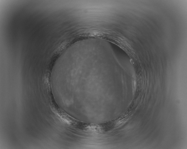 X0000074000415200609181813