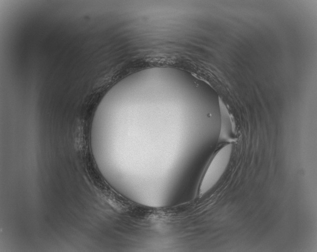 X0000074000416200609181813