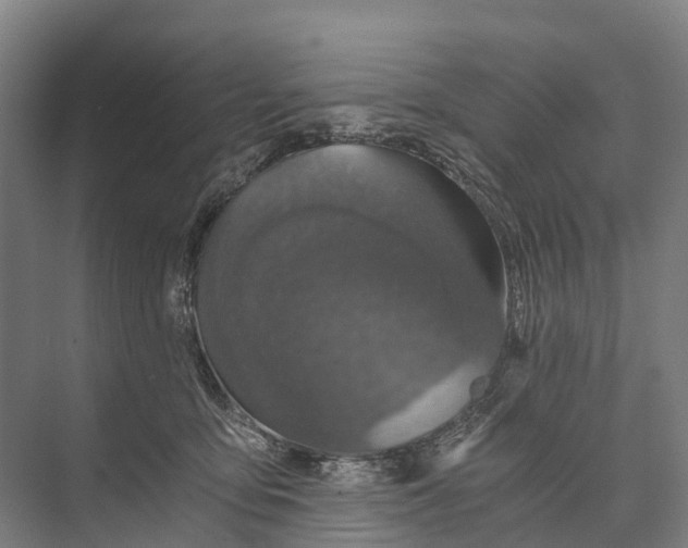 X0000074000419200609181813