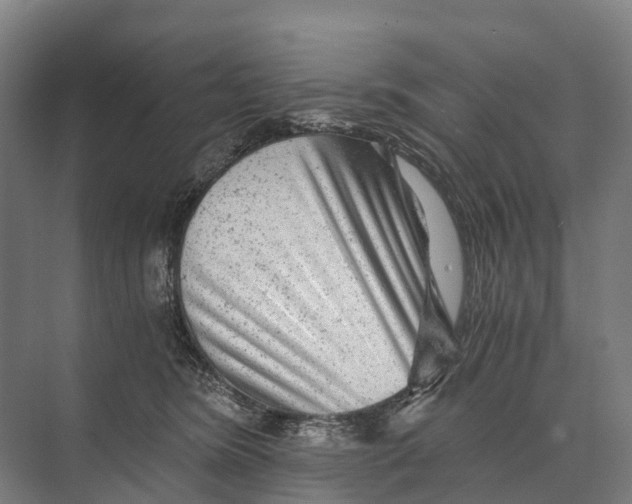 X0000074000420200609181813