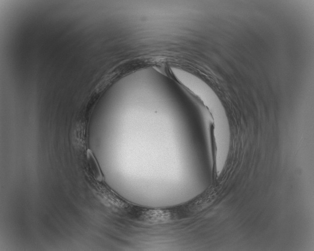 X0000074000421200609181813