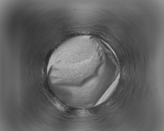 X0000074000424200609181813