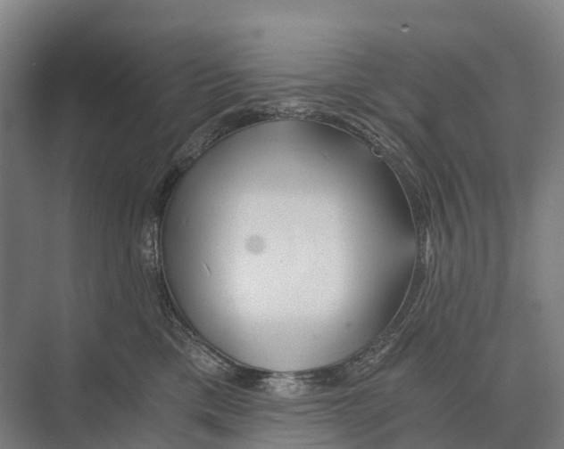 X0000074000425200609181813